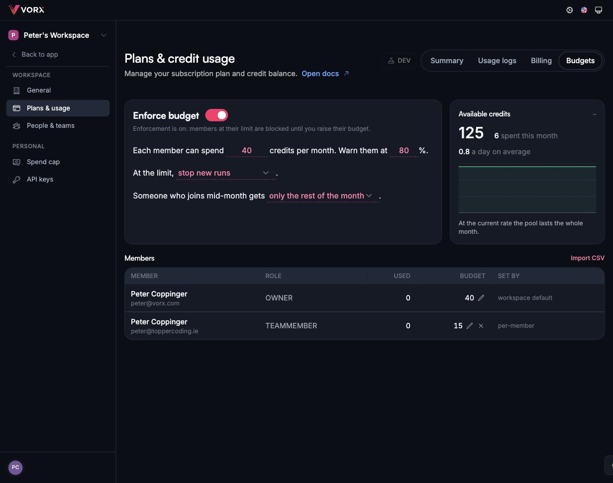 The Vorx workspace budgets screen: enforcement on, each member capped at 40 credits a month with a warning at 80 percent, and one member set to a lower per-person cap of 15.